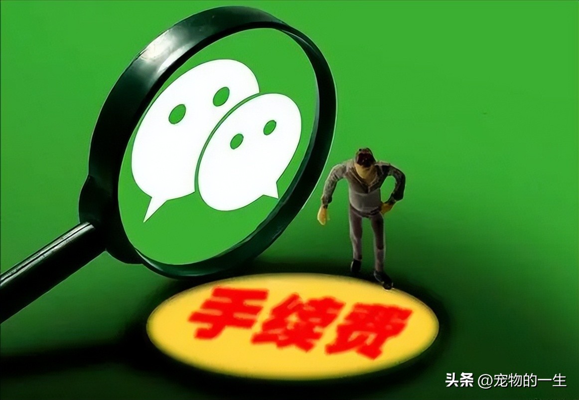 多所高校将停用微信支付新闻,手续费多所高校宣布停用微信支付