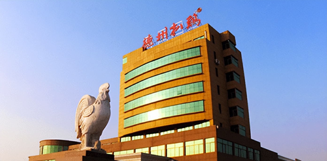 运动鞋品牌商标大全,羽绒服品牌商标大全