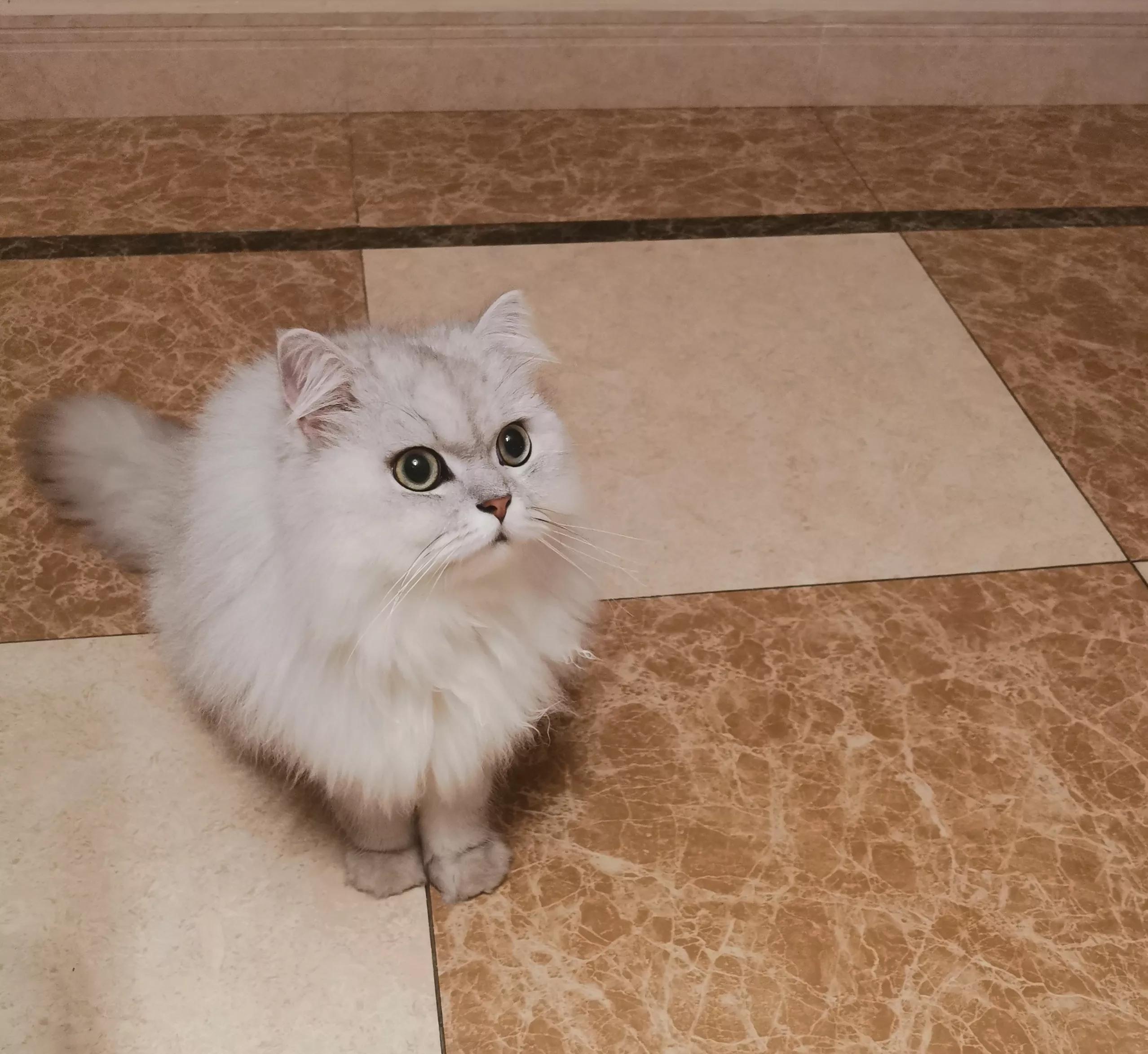 张老师选大学专业,张老师讲专业