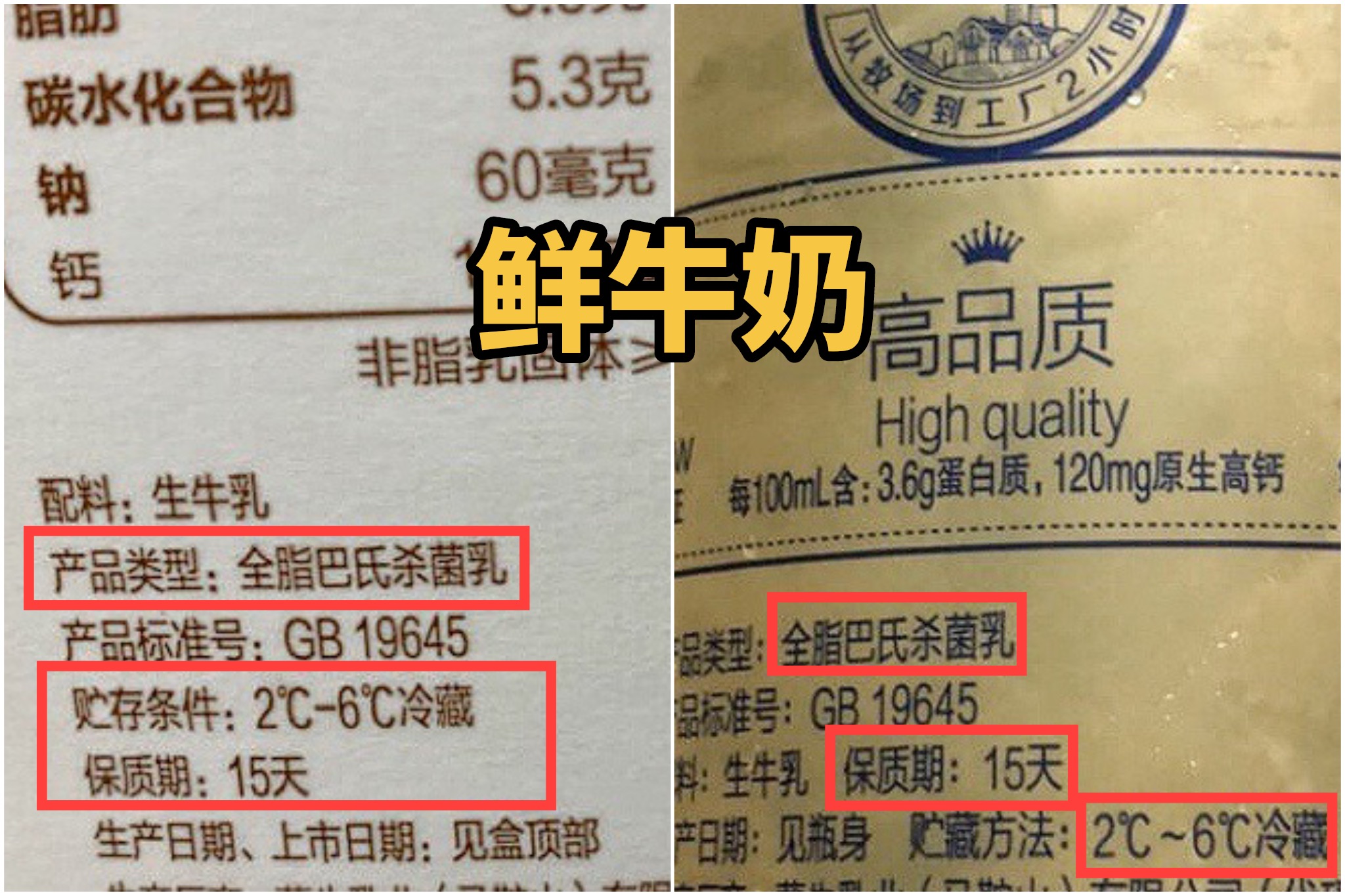 纯牛奶便宜推荐测评,纯牛奶推荐好喝又便宜