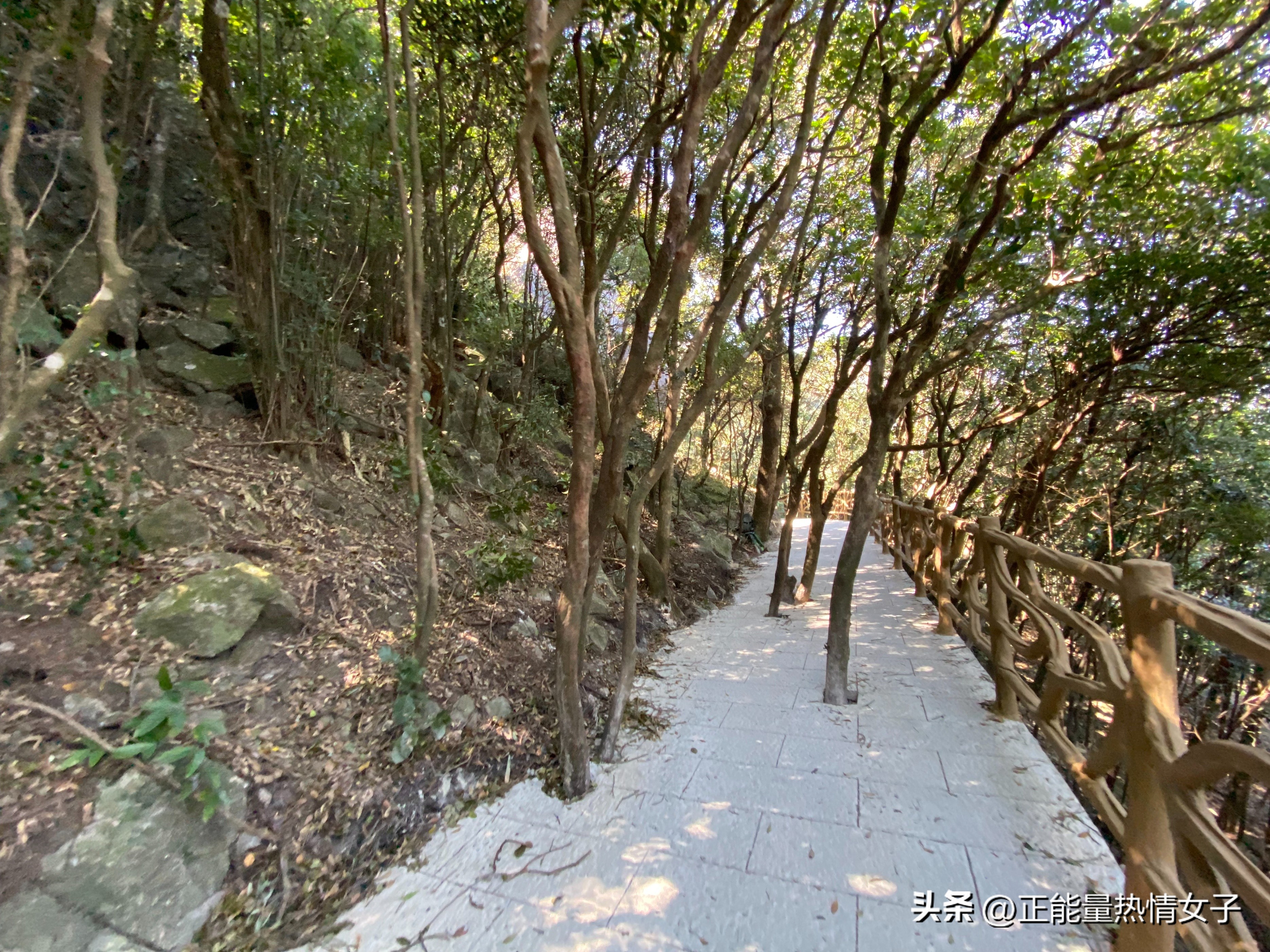 罗浮山爬山记录,广东周围爬山地点罗浮山攻略