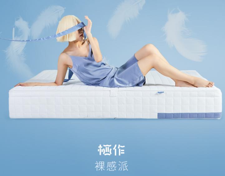30公分床垫品牌排行榜前十名,30公分床垫推荐性价比高的