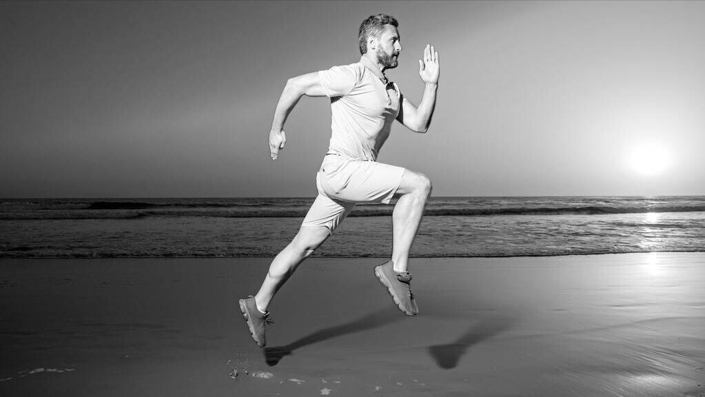 人体骨骼204和206是多了哪些骨头,人体206块骨头为何中国人少两块