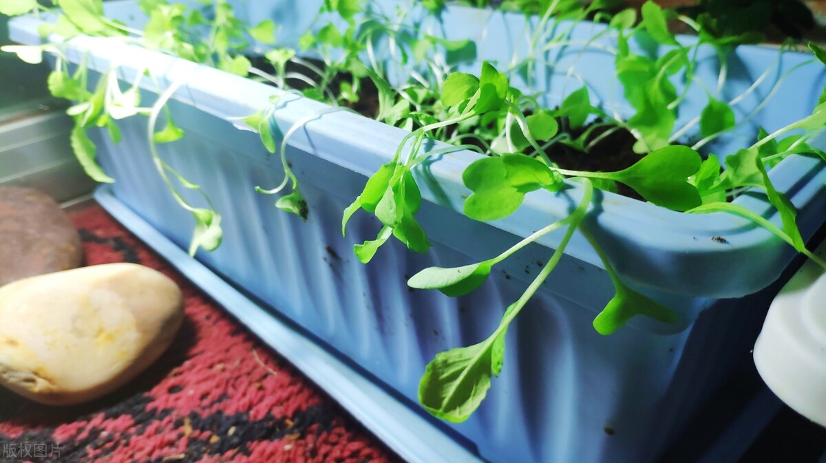 淘宝发布年度十大宝贝,淘宝公布十大宝贝