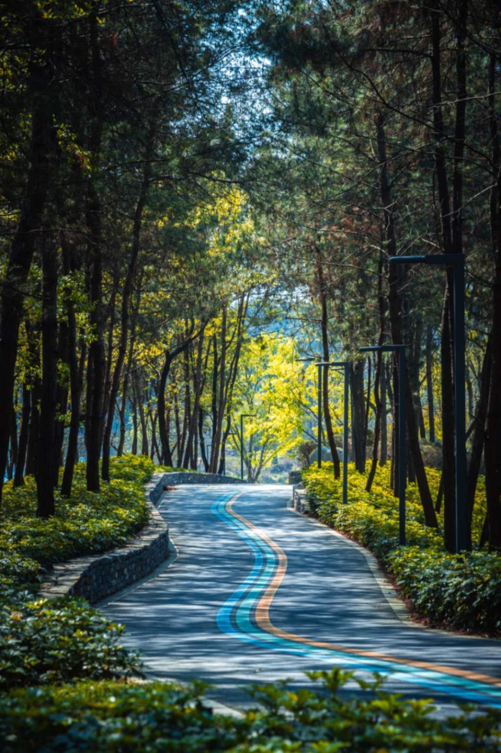 好玩的遛娃公园成都,成都南边公园免费景点