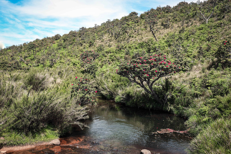 斯里兰卡旅游攻略必去景点,斯里兰卡最佳旅游攻略