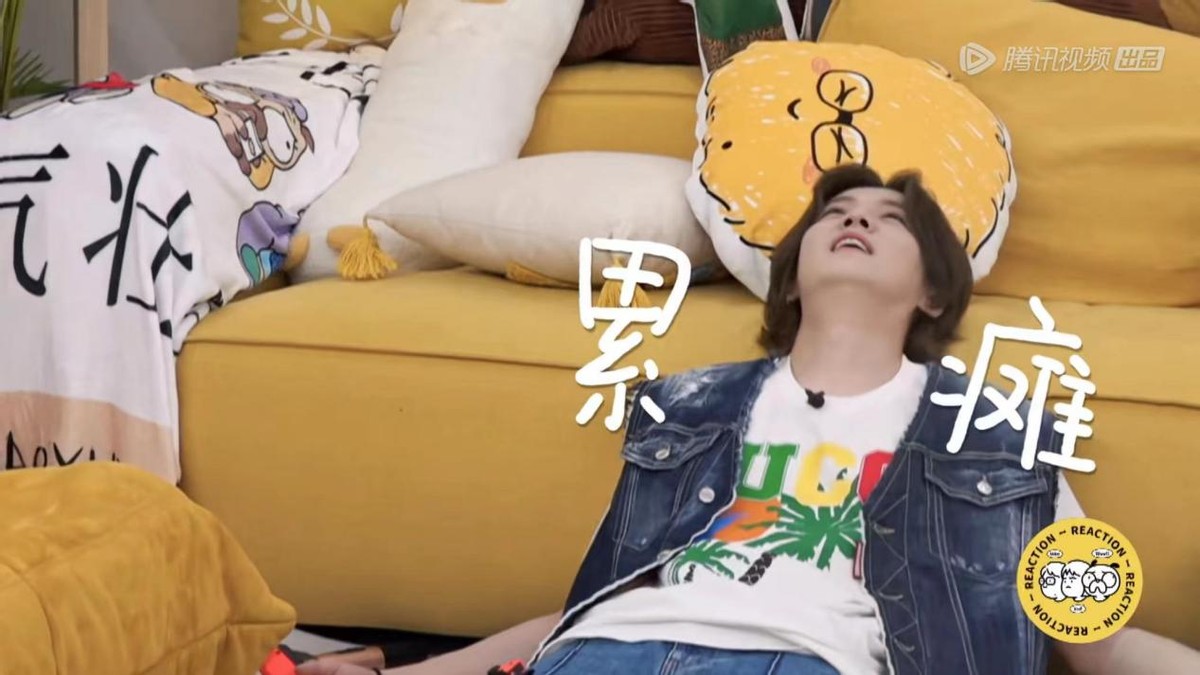 鹿晗毛雪汪是哪一期,毛雪汪夏番拟邀嘉宾