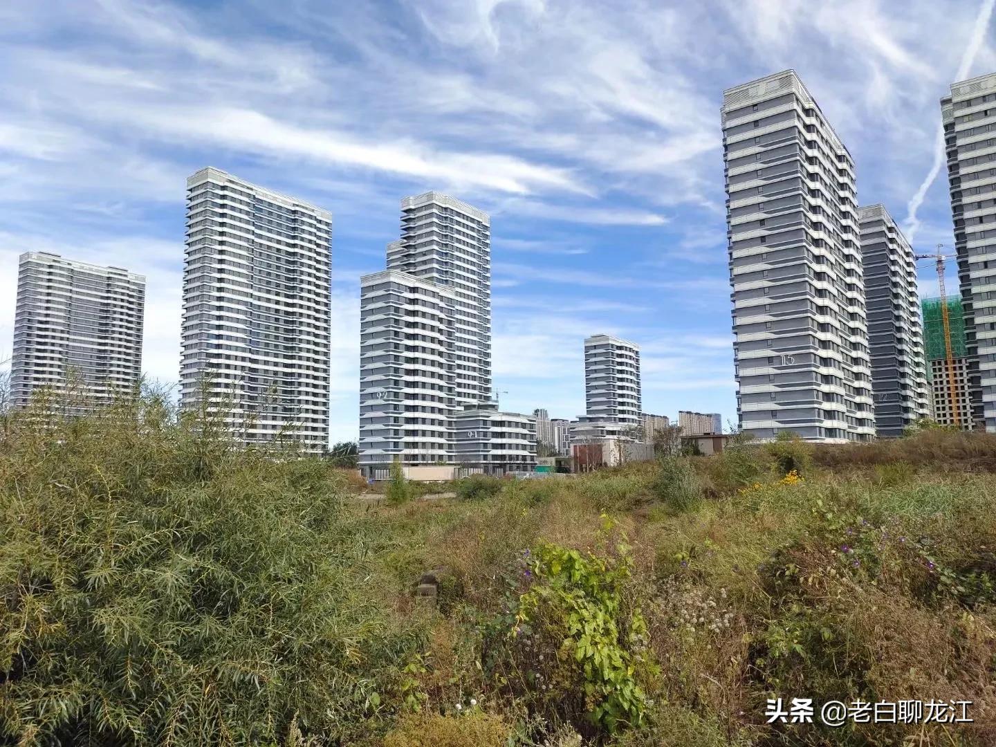 群力新区的来源,群力新区深度分析