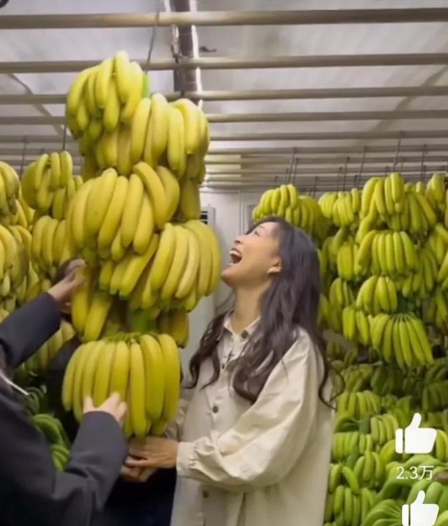 导演张静初和蒋雯丽,王家卫张静初蒋雯丽事件