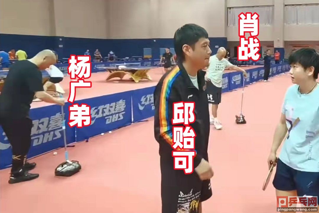 教练邱贻可谈孙颖莎,邱贻可樊振东场边教练