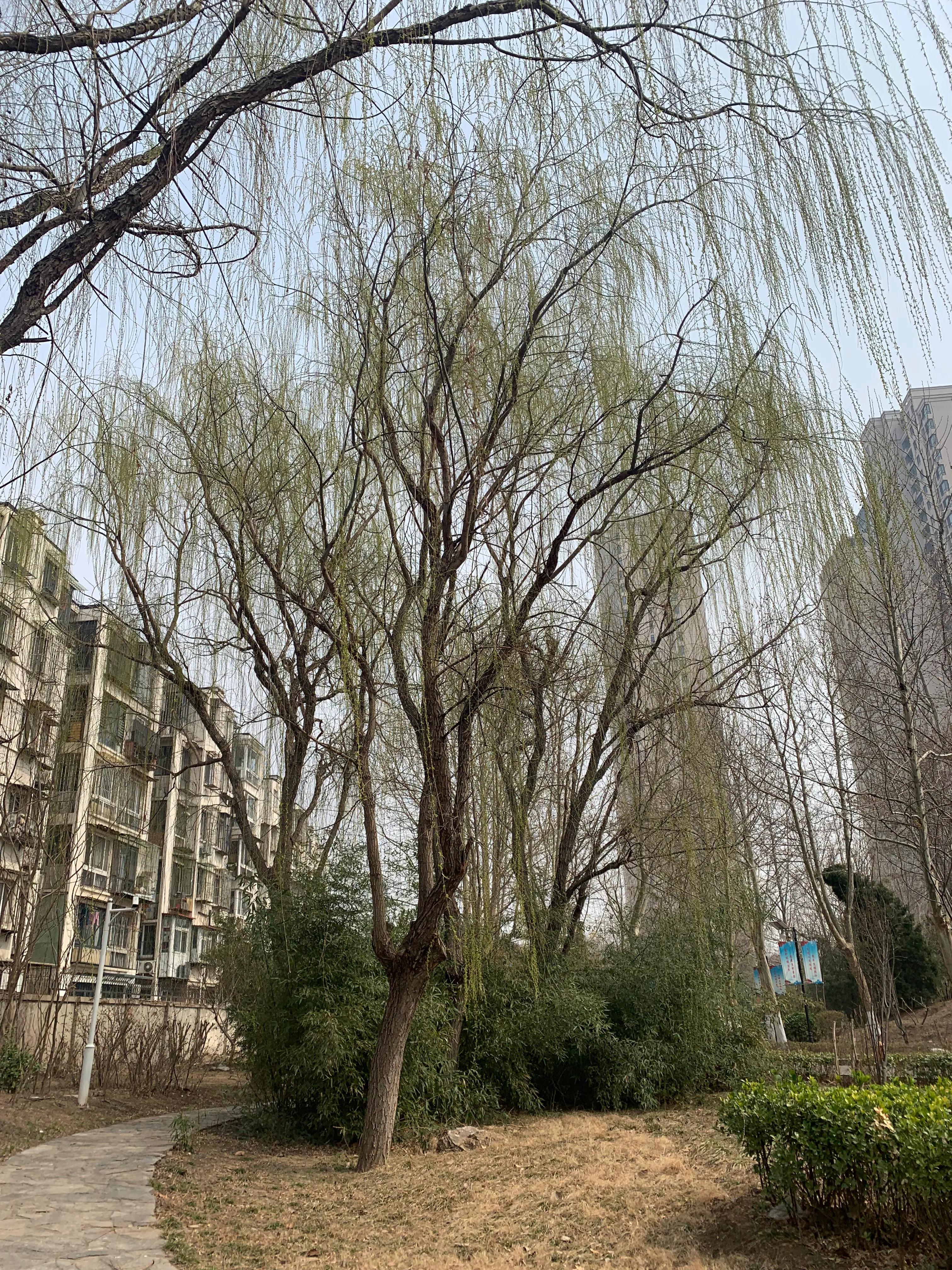 打卡天津博物馆,打卡天津意式风情区