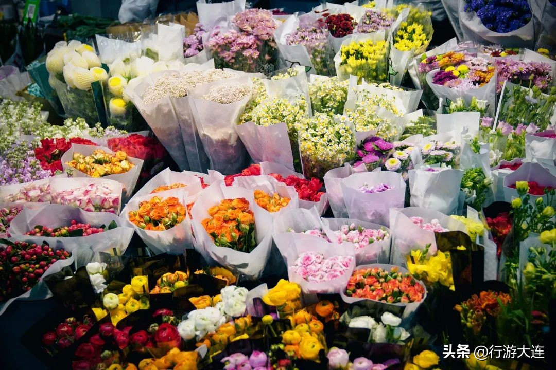 大连花市哪里最好玩,大连的花市有哪些