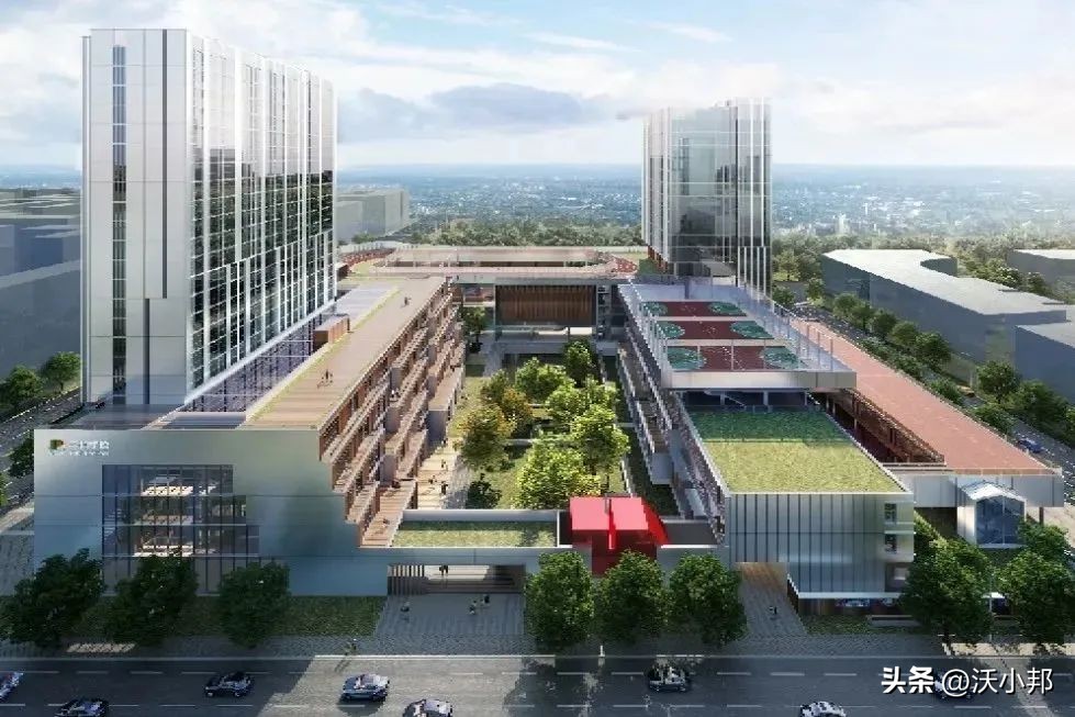 上海藤校录取2021,八大藤校2021秋季入学要求