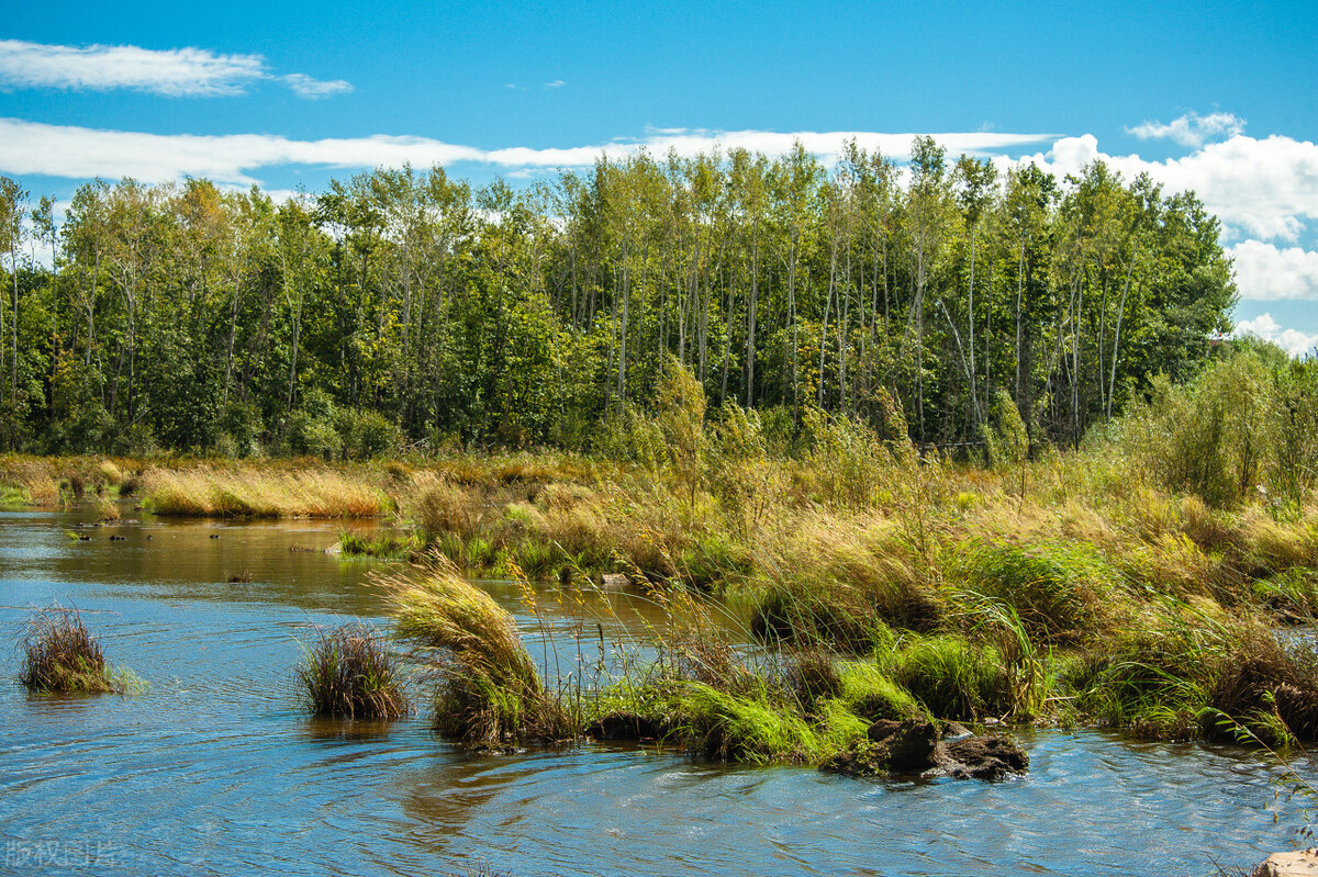 黑龙江省都有哪些城市有机场,黑龙江拥有高铁和飞机的小镇