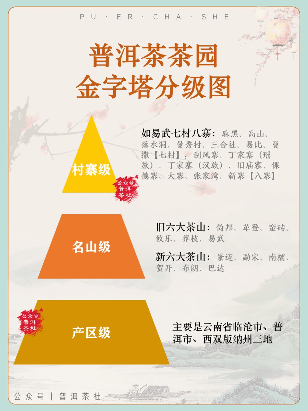 正宗的云南普洱茶是什么样的,真正的云南普洱茶是什么样