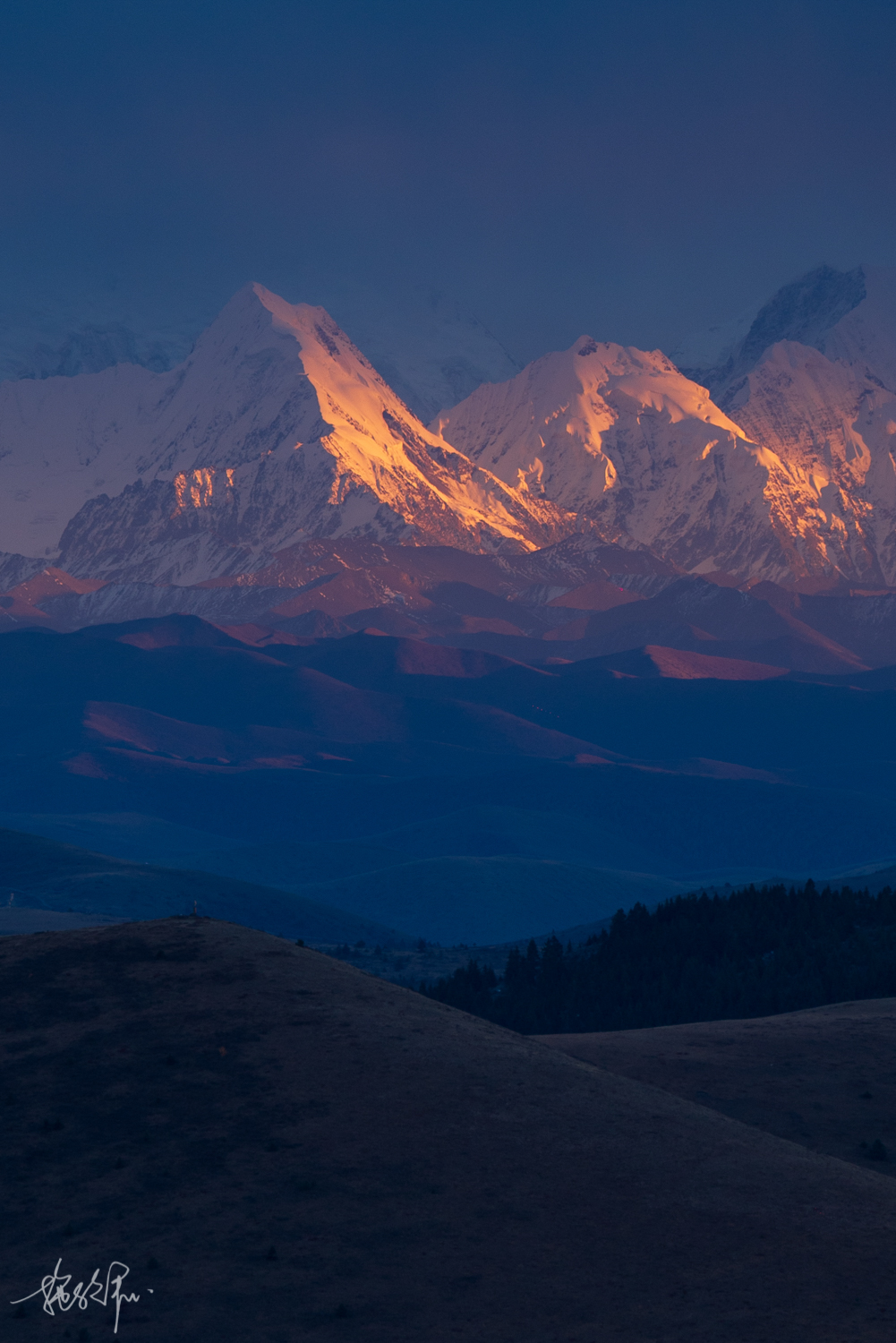 我的2022年度报告,我的2022原版