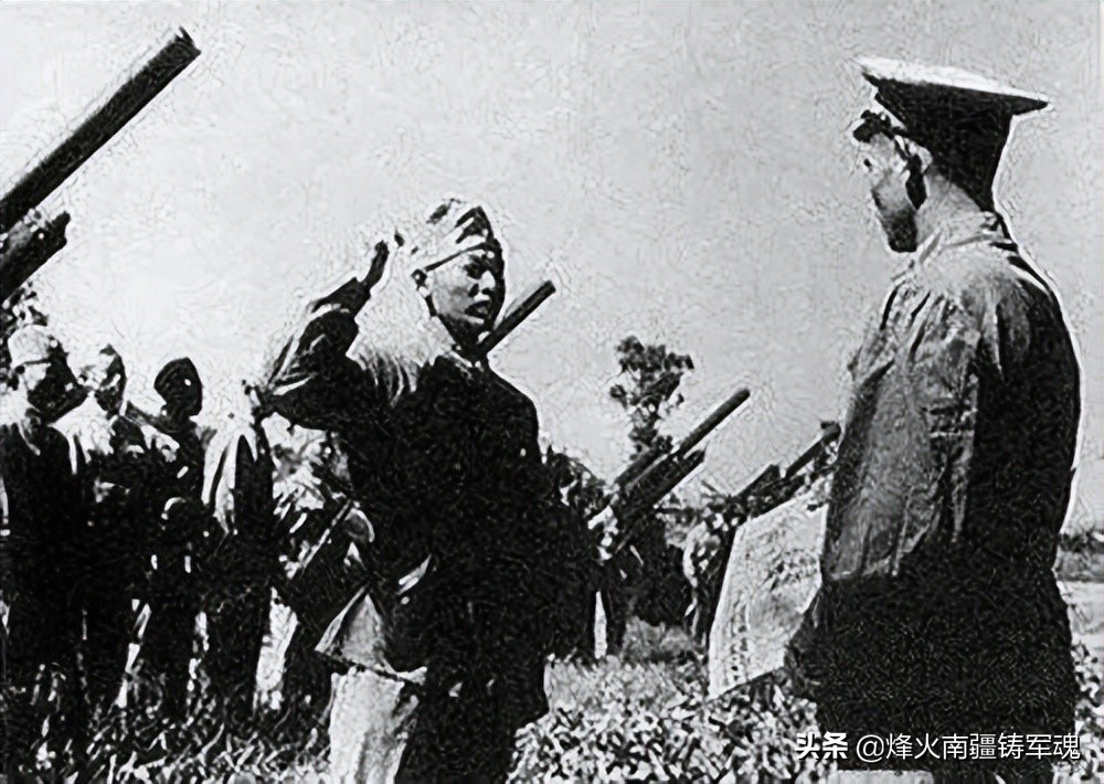 辽宁野生淡干海参,野生辽宁干海参