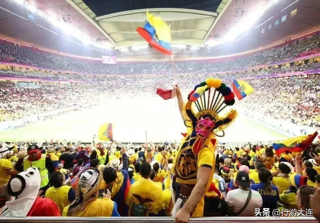 世界杯足球场比赛场地,大连世界杯专业足球场