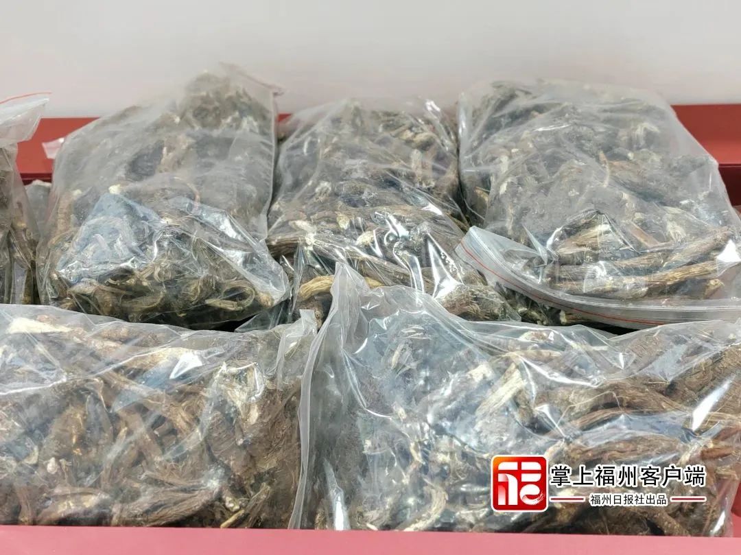 扎西德勒！蓝色八宿“搬”到有福之州了！