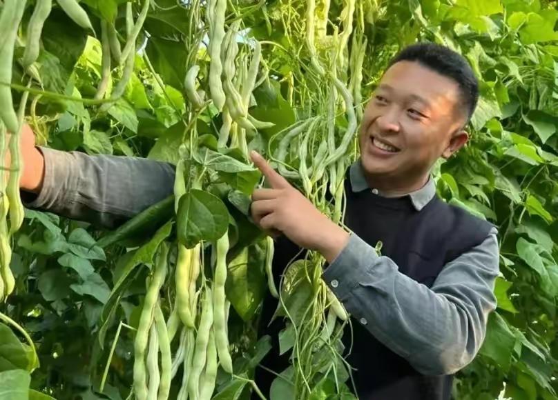 80后山东夫妻放弃5万月薪,95后小伙放弃30万年薪种菜