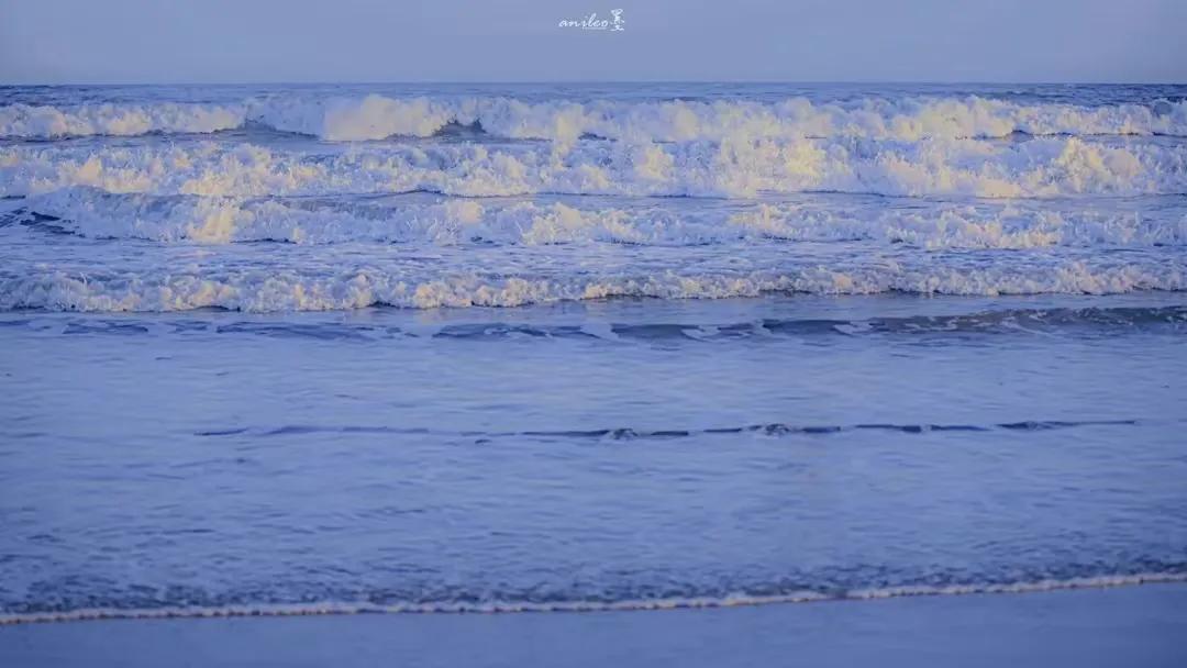 一家中古奢侈品店的声色世界,一家中古奢侈店的声色世界