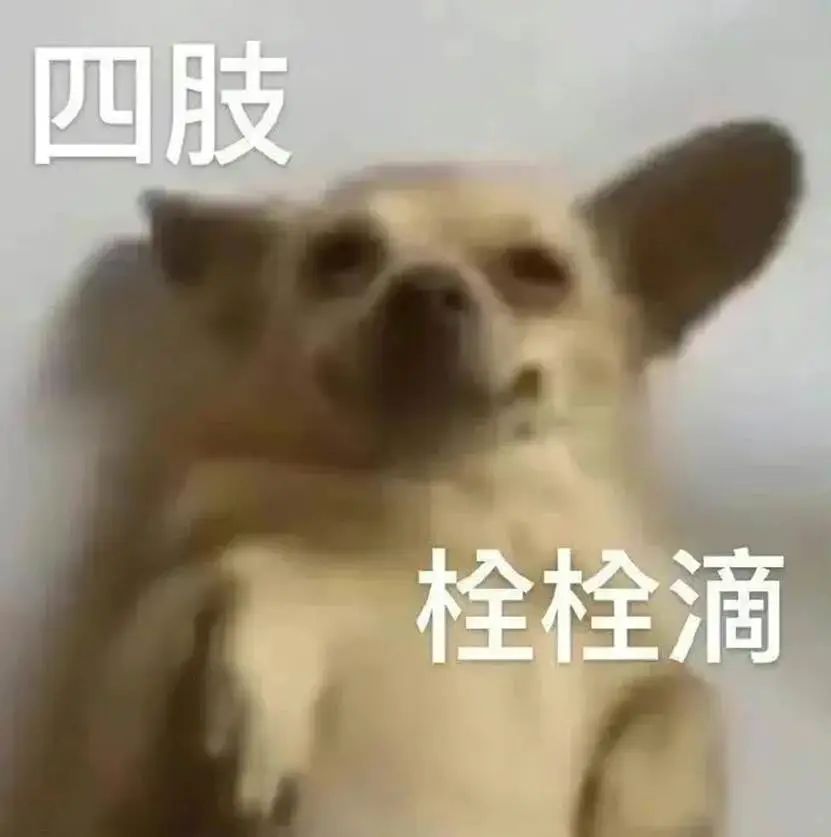 七匹狼腰带搞笑视频,被七匹狼打是一种什么感觉