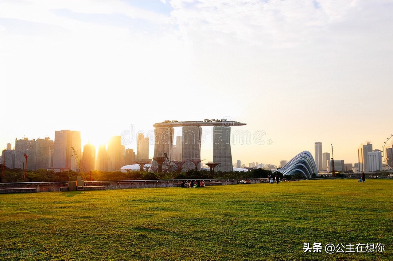 新加坡7个冷知识英文,世界上养猫最多的国家