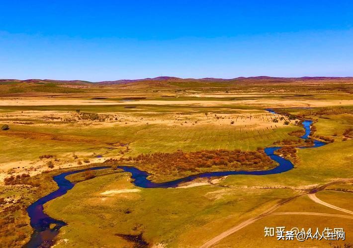 咏草的诗句全部,咏草的诗句是