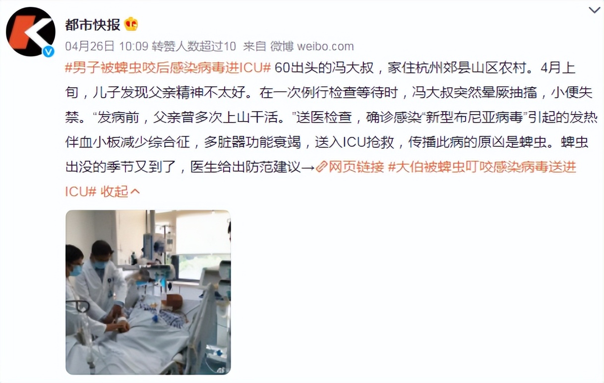 虫子的小刺扎进皮肤里怎么办,钻进皮肤的虫子