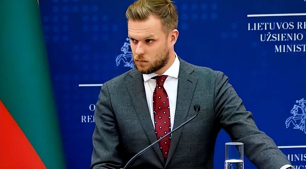 欧盟外长谈对华关系,欧盟各国外长紧急协调对华战略