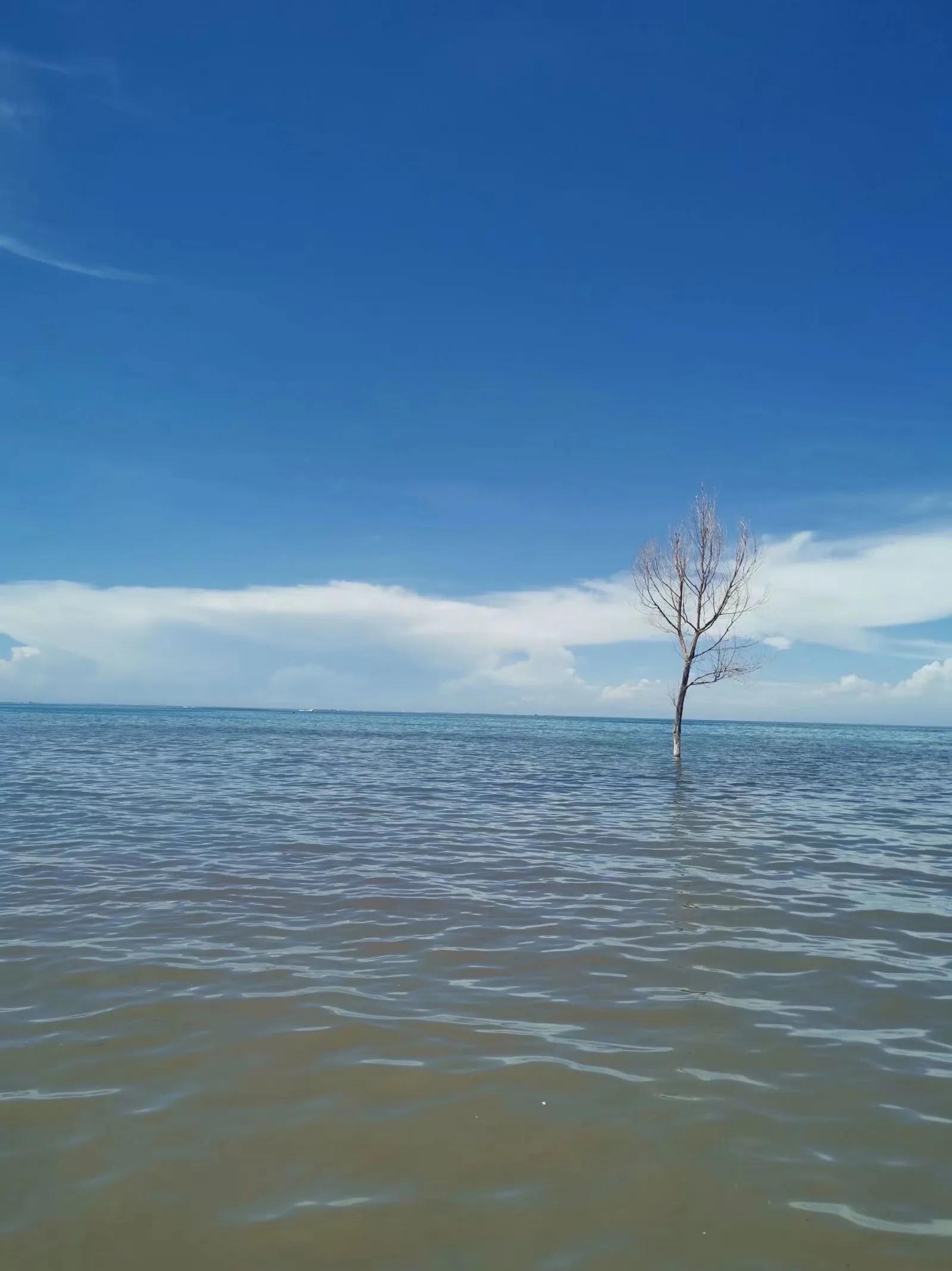 青海跟团游为什么不包餐,什么人不建议去青海旅游