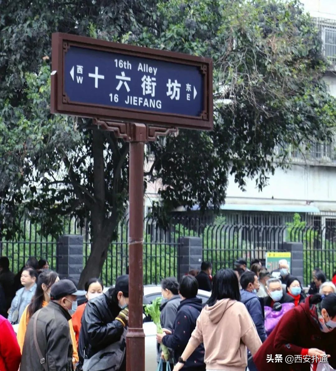 西安曲江哪里有大型批发菜市场,深夜西安十大农贸菜市场