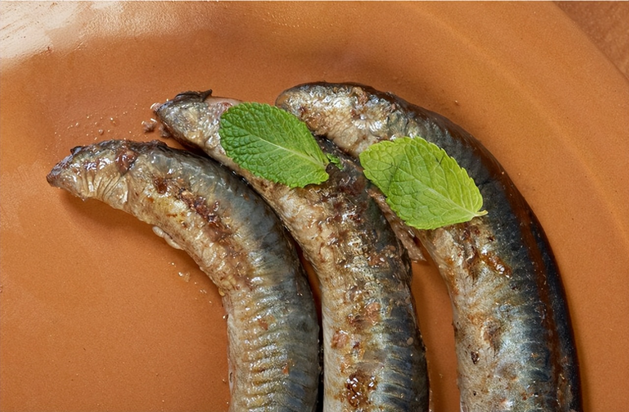 世界上有没有恐怖七鳃鳗,蛇形的鱼有哪些