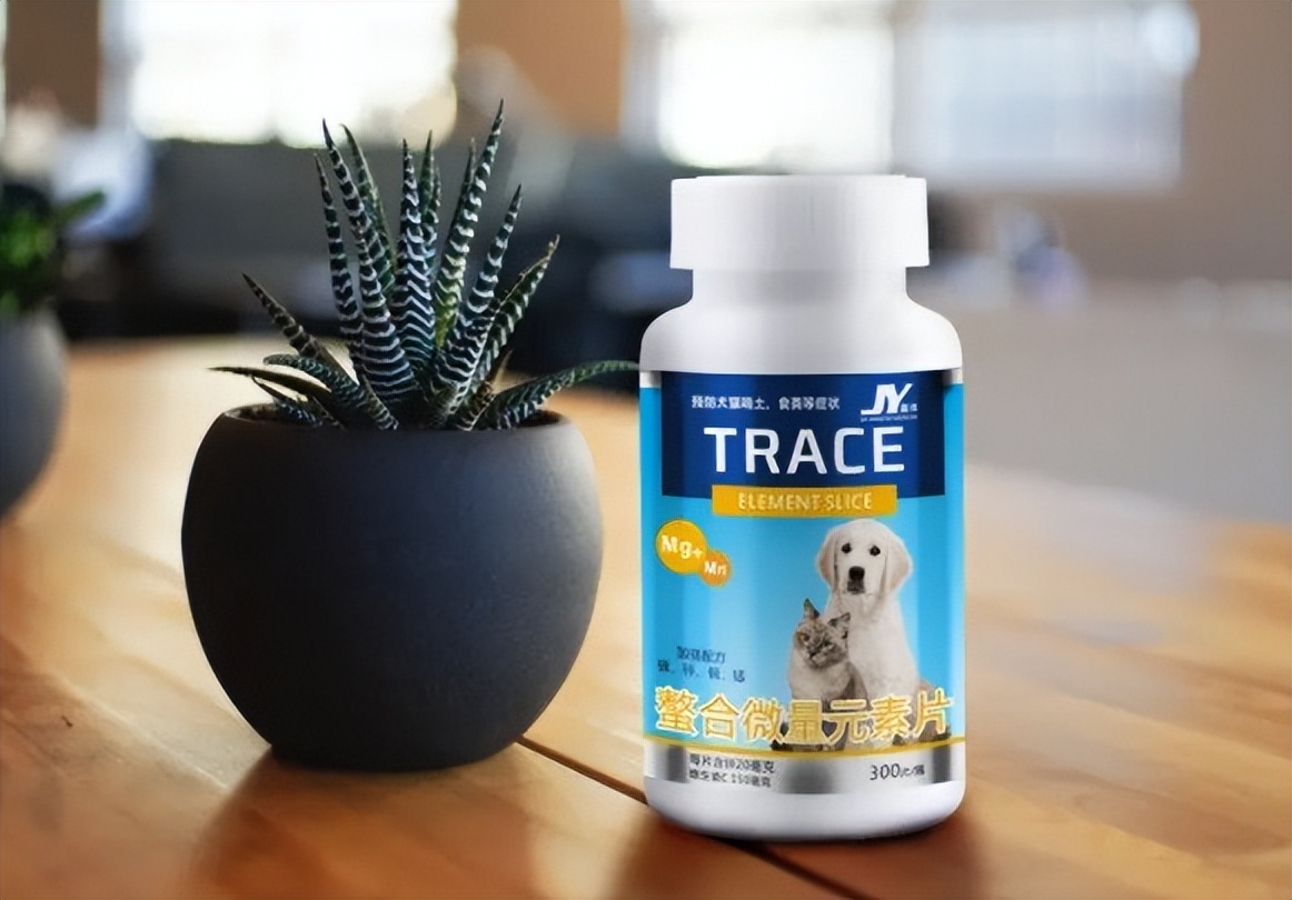 猫咪扣墙皮怎么办,猫咪为啥喜欢啃墙皮