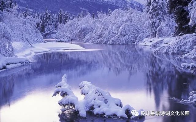 星语原创诗歌全集,星语作品全集