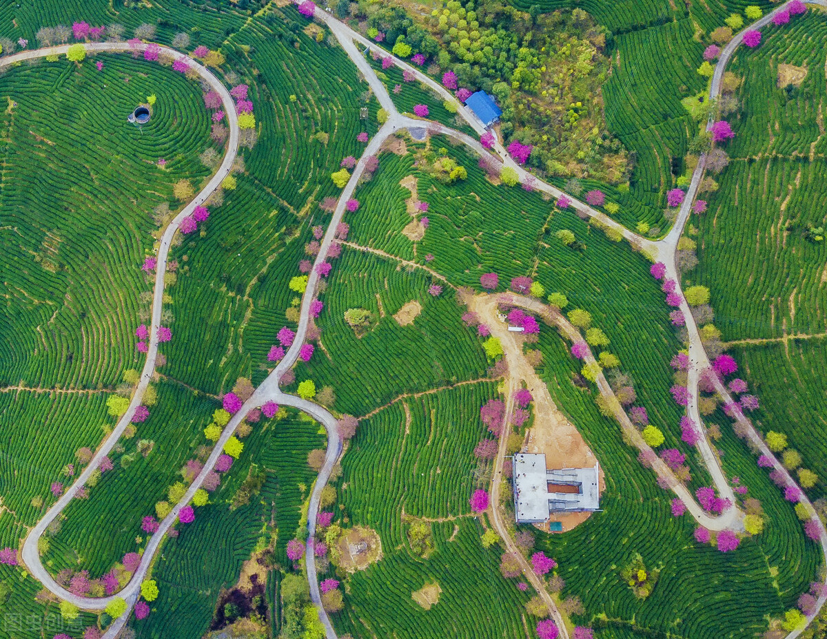 种植专业合作社有什么好处和坏处,农业合作社的危害