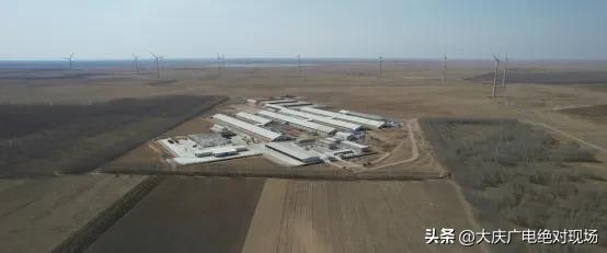 大庆生产的牛奶,大庆产牛奶