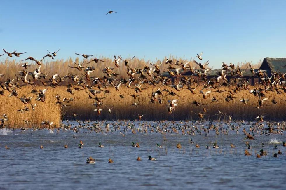 上海水上旅游,上海旅游攻略上海水上乐园