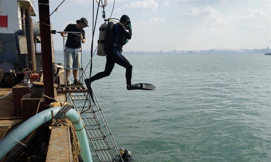 定远舰打捞125年,定远舰残骸回国