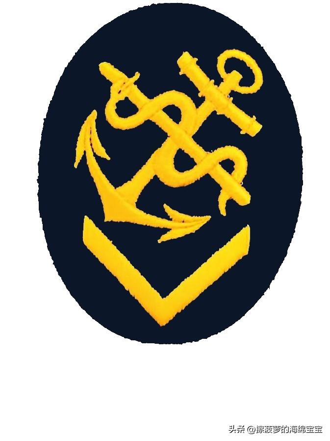 二战德国国防军医疗兵军衔标志