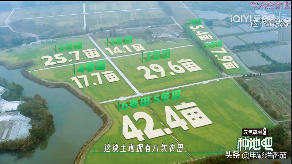 从豆瓣8.4到9.0分，这群认真种地的少年们，值得被所有人看见