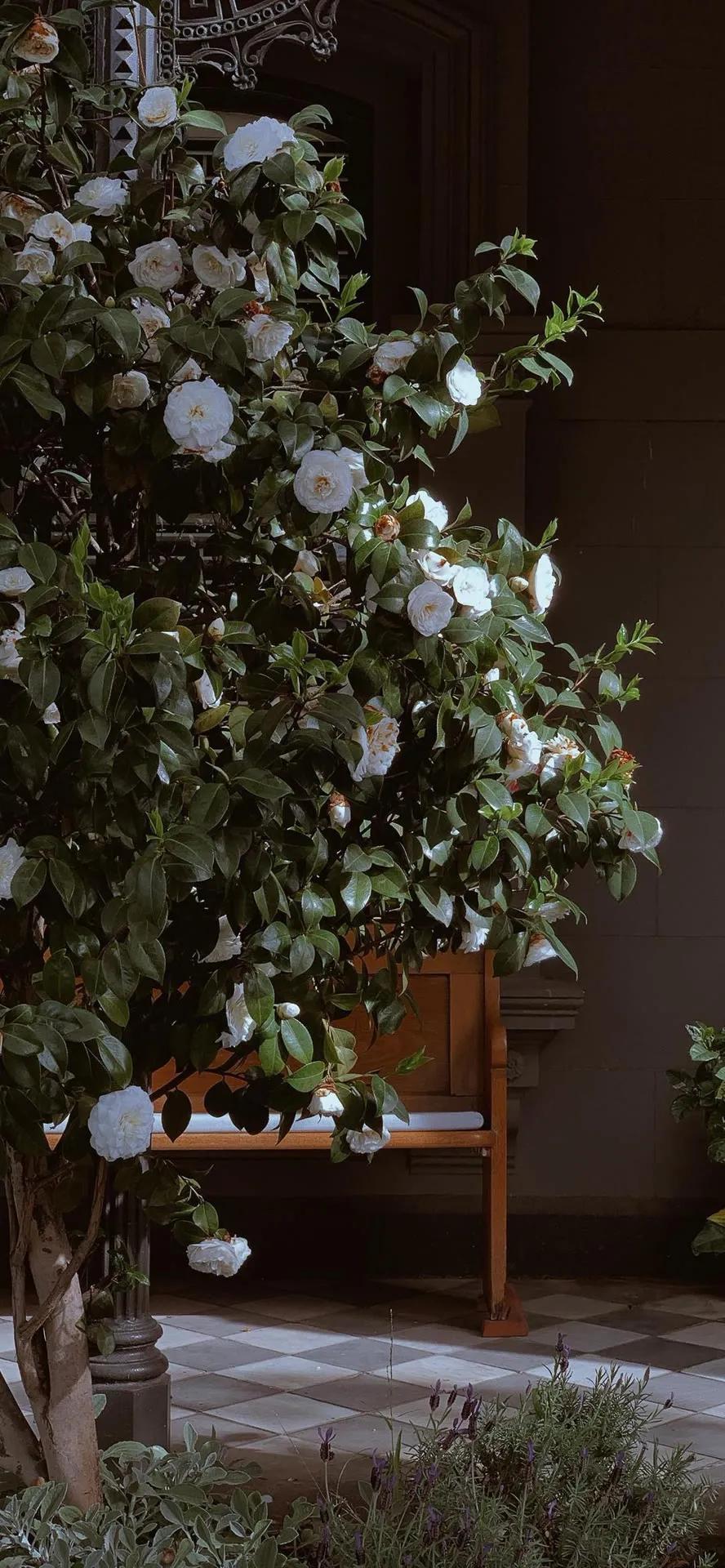 超高清海洋沙滩风景壁纸全屏,湛蓝的海水海滩风景高清壁纸