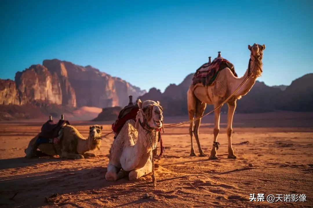 徕卡相机德味最浓的一款,徕卡德味相机有哪些