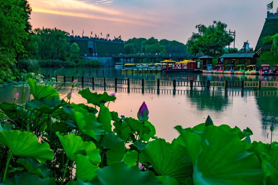 夏日“夜游”正当时，宋夹城“夜场”时段邀你一起嗨