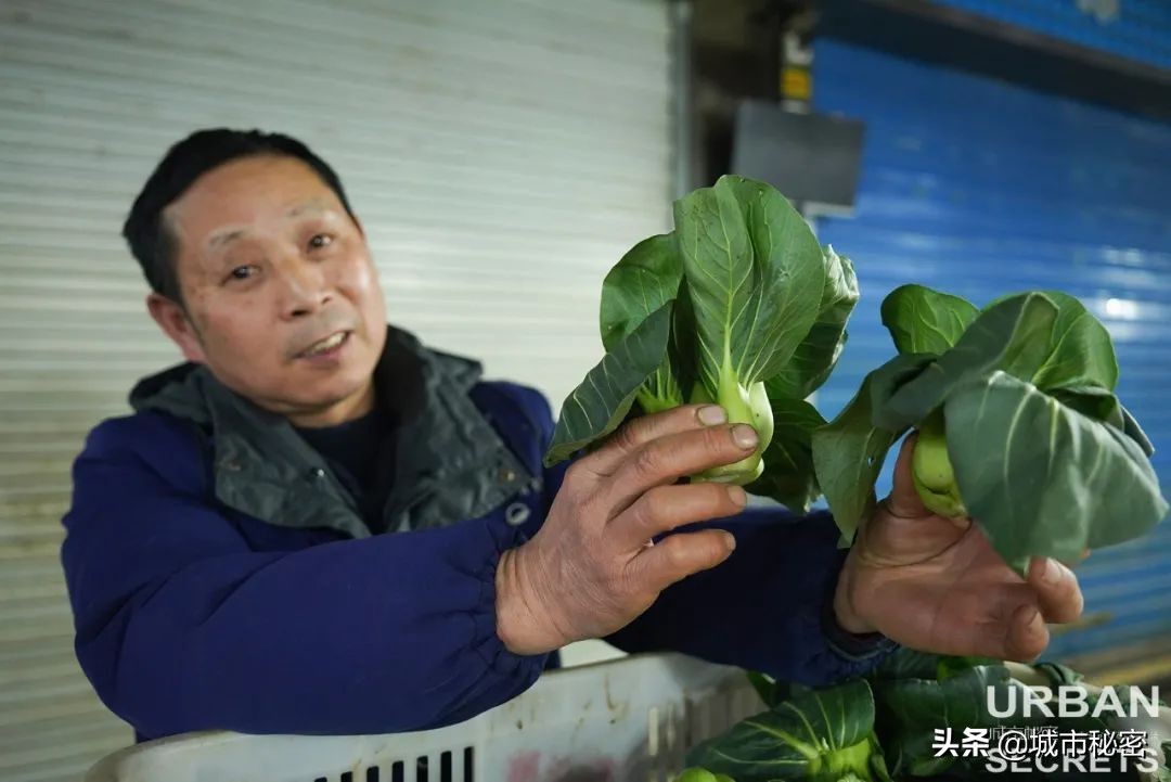艮山门在拱宸桥北面,杭州艮山门水果市场简介