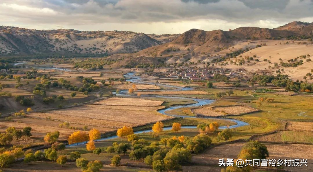 以数字经济助力乡村产业振兴案例,基层党建引领乡村振兴主要案例