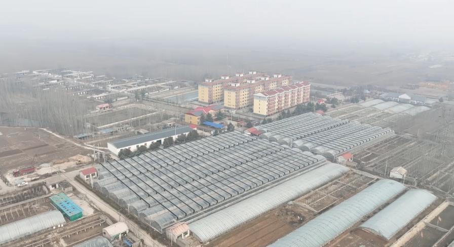 石家庄哪有甲鱼养殖基地,璧山区生态甲鱼养殖