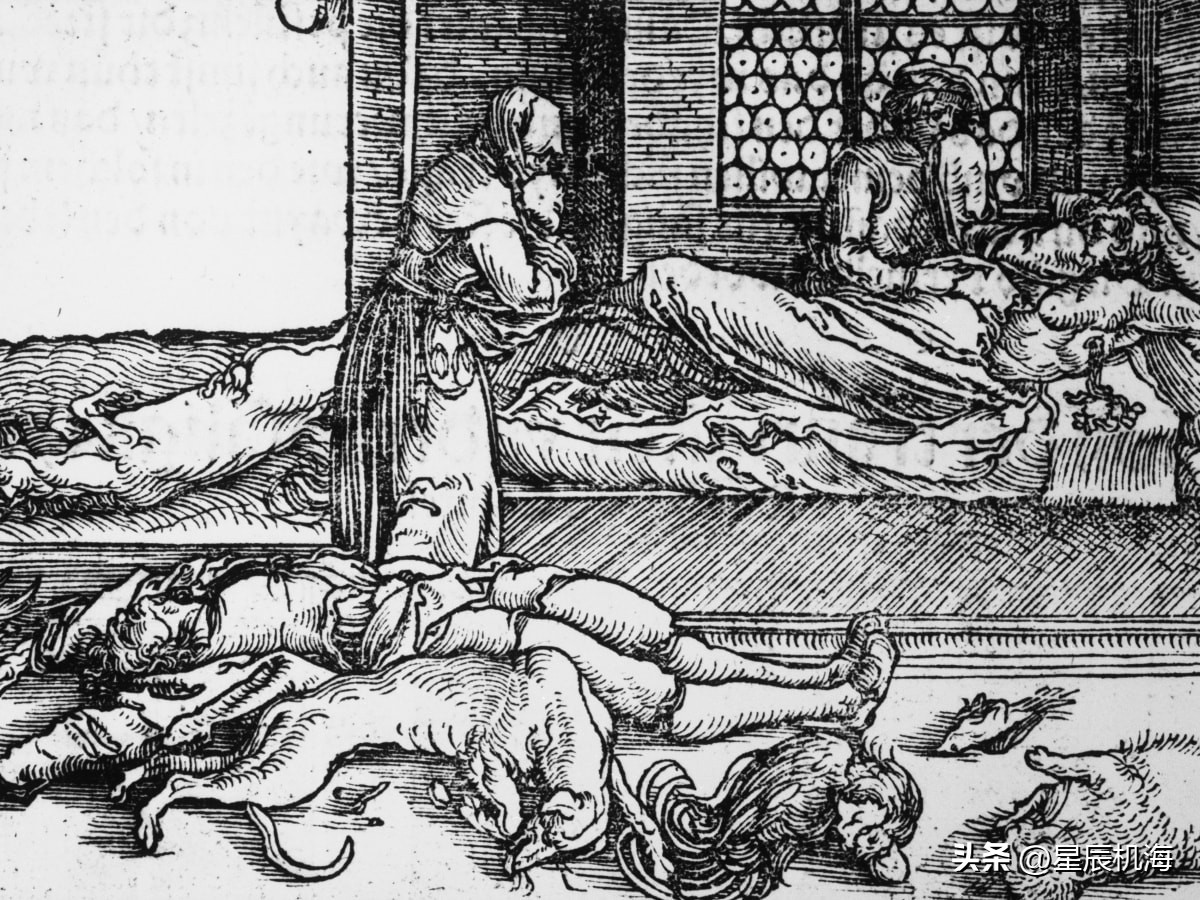 黑死病是蒙古人带到欧洲的吗,解密杀死两千万欧洲人的黑死病