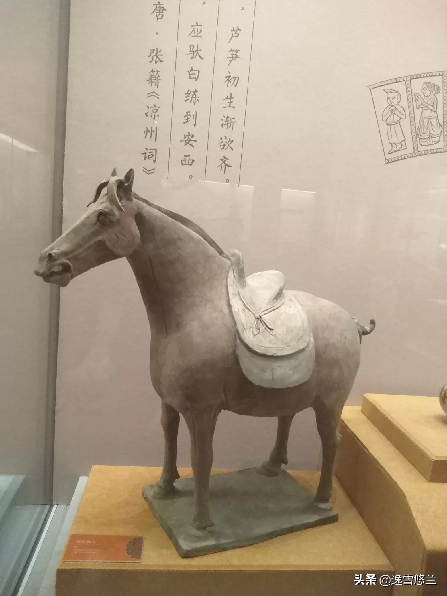 博物致知杂志,博物致知是书吗