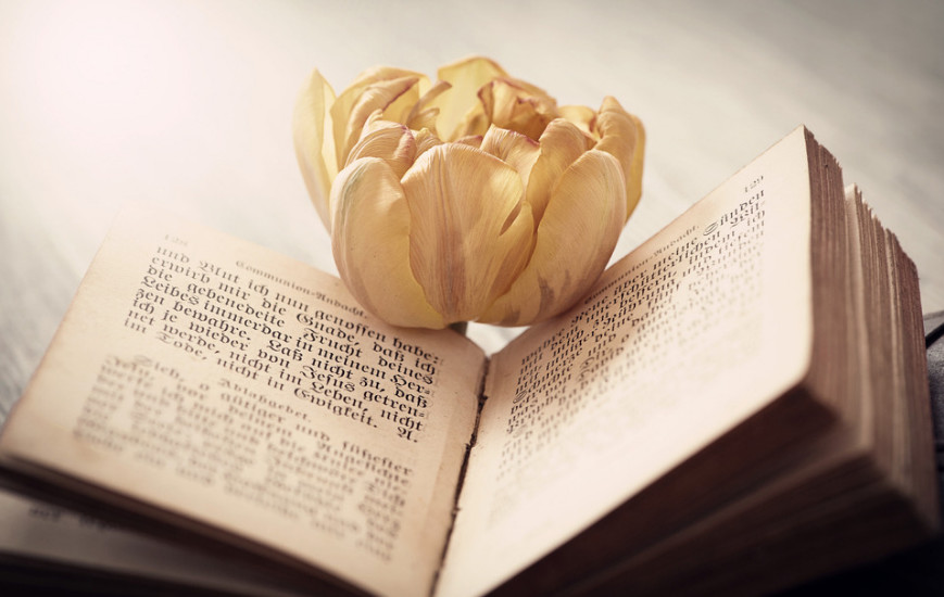 白居易的古诗出处,白居易桃李满天下诗句全文